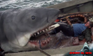 Quint get swallowed